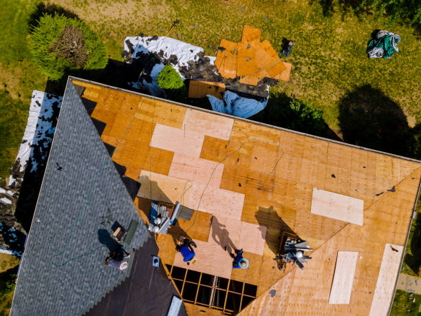 Best Best Roofing Contractors  in Ridgewood, IL