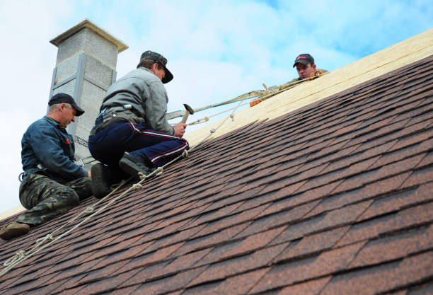 Best Commercial Roofing Services  in Ridgewood, IL
